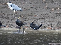 Bild: Peter Blei unterwegs: die Wendefurth Talsperre