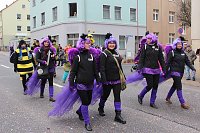 Bild: N&auml;rrinnen und Narren trotzen Wetter (2)