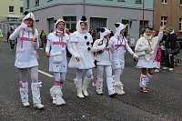 Bild: N&auml;rrinnen und Narren trotzen Wetter (2)