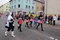 Bild: N&auml;rrinnen und Narren trotzen Wetter (2)
