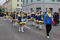 Bild: N&auml;rrinnen und Narren trotzen Wetter (2)