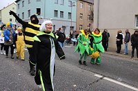 Bild: N&auml;rrinnen und Narren trotzen Wetter (2)