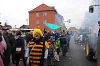 Bild: N&auml;rrinnen und Narren trotzen Wetter (2)