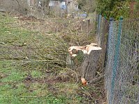 Bild: Tornado &uuml;berm S&uuml;dharz