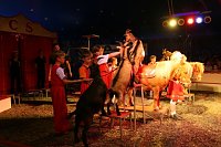 Bild: Zirkusluft in Ellrich