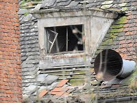 Bild: Impressionen von Drei-Streif