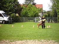 Bild: Kinderfest in Niedersalza