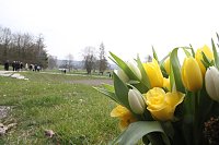 Gedenkveranstaltung zum 71. Jahrestag der Befreiung des KZ Mittelbau-Dora Bild: Gedenkveranstaltung zum 71. Jahrestag der Befreiung des KZ Mittelbau-Dora