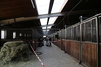 Bild: Hoffest in Wollersleben