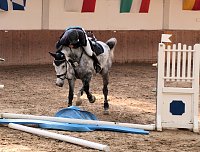 Bild: Hoffest in Wollersleben