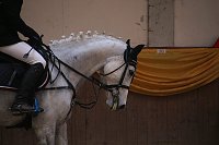 Bild: Hoffest in Wollersleben