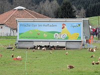 Bild: L&auml;mmerfest auf der Ziegenalm