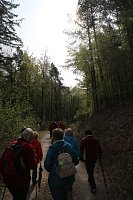 Sparkassenwanderung in Bleicherode Bild: Sparkassenwanderung in Bleicherode