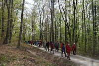 Sparkassenwanderung in Bleicherode Bild: Sparkassenwanderung in Bleicherode