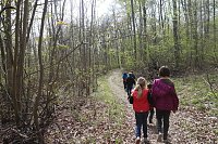 Sparkassenwanderung in Bleicherode Bild: Sparkassenwanderung in Bleicherode