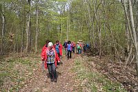 Sparkassenwanderung in Bleicherode Bild: Sparkassenwanderung in Bleicherode