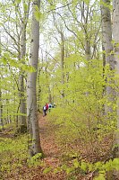 Sparkassenwanderung in Bleicherode Bild: Sparkassenwanderung in Bleicherode