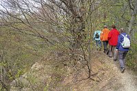 Sparkassenwanderung in Bleicherode Bild: Sparkassenwanderung in Bleicherode