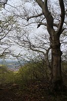 Sparkassenwanderung in Bleicherode Bild: Sparkassenwanderung in Bleicherode