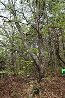 Sparkassenwanderung in Bleicherode Bild: Sparkassenwanderung in Bleicherode