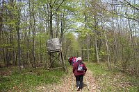 Sparkassenwanderung in Bleicherode Bild: Sparkassenwanderung in Bleicherode