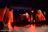 Bild: Maisprung im Gehege