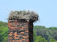 Schloss und Schlosspark Wiesenburg Bild: Schloss und Schlosspark Wiesenburg