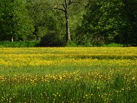 Schloss und Schlosspark Wiesenburg Bild: Schloss und Schlosspark Wiesenburg