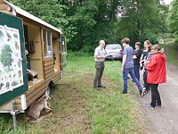 Bild: Waldjugendtag im Heringer Goldborntal