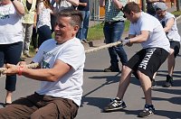 Bild: 21. Arreefest