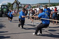 Bild: 21. Arreefest