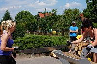 Bild: 21. Arreefest
