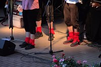 Bild: Die Randfichten auf der Waldb&uuml;hne in Hesserode