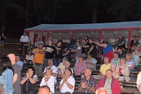 Bild: Die Randfichten auf der Waldb&uuml;hne in Hesserode