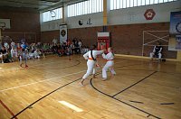 Bild: Kreisjugendspiele Karate