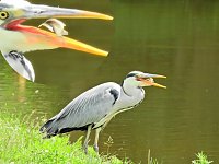 Abstecher in den Schlosspark Bild: Abstecher in den Schlosspark