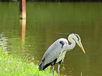 Abstecher in den Schlosspark Bild: Abstecher in den Schlosspark