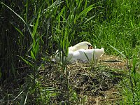 Abstecher in den Schlosspark Bild: Abstecher in den Schlosspark