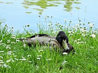 Abstecher in den Schlosspark Bild: Abstecher in den Schlosspark