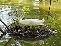 Abstecher in den Schlosspark Bild: Abstecher in den Schlosspark