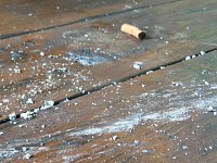 Bild: Hinterlassenschaften von besonderen Besuchern