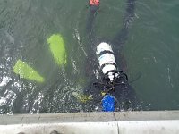 Bild: Schnuppertauchen beim TSC Neptun