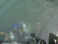 Bild: Schnuppertauchen beim TSC Neptun