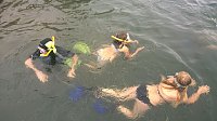 Bild: Schnuppertauchen beim TSC Neptun