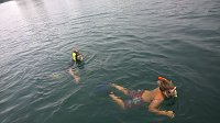 Bild: Schnuppertauchen beim TSC Neptun
