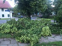 Windhose wütet in Ellrich Bild: Windhose wütet in Ellrich