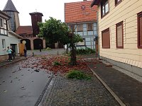 Bild: Aufr&auml;umarbeiten nach der Windhose