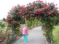 Bild: Besuch im Rosengarten in Bad Langensalza