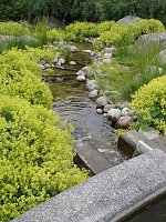 Bild: Besuch im Rosengarten in Bad Langensalza