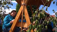 Bild: Festumzug zum 800. Geburtstag Osterodes